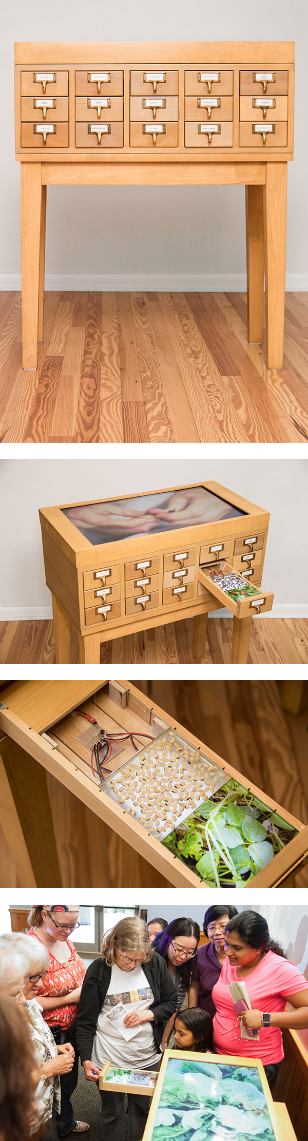 seed cabinet art piece detail of drawer, people interacting with piece